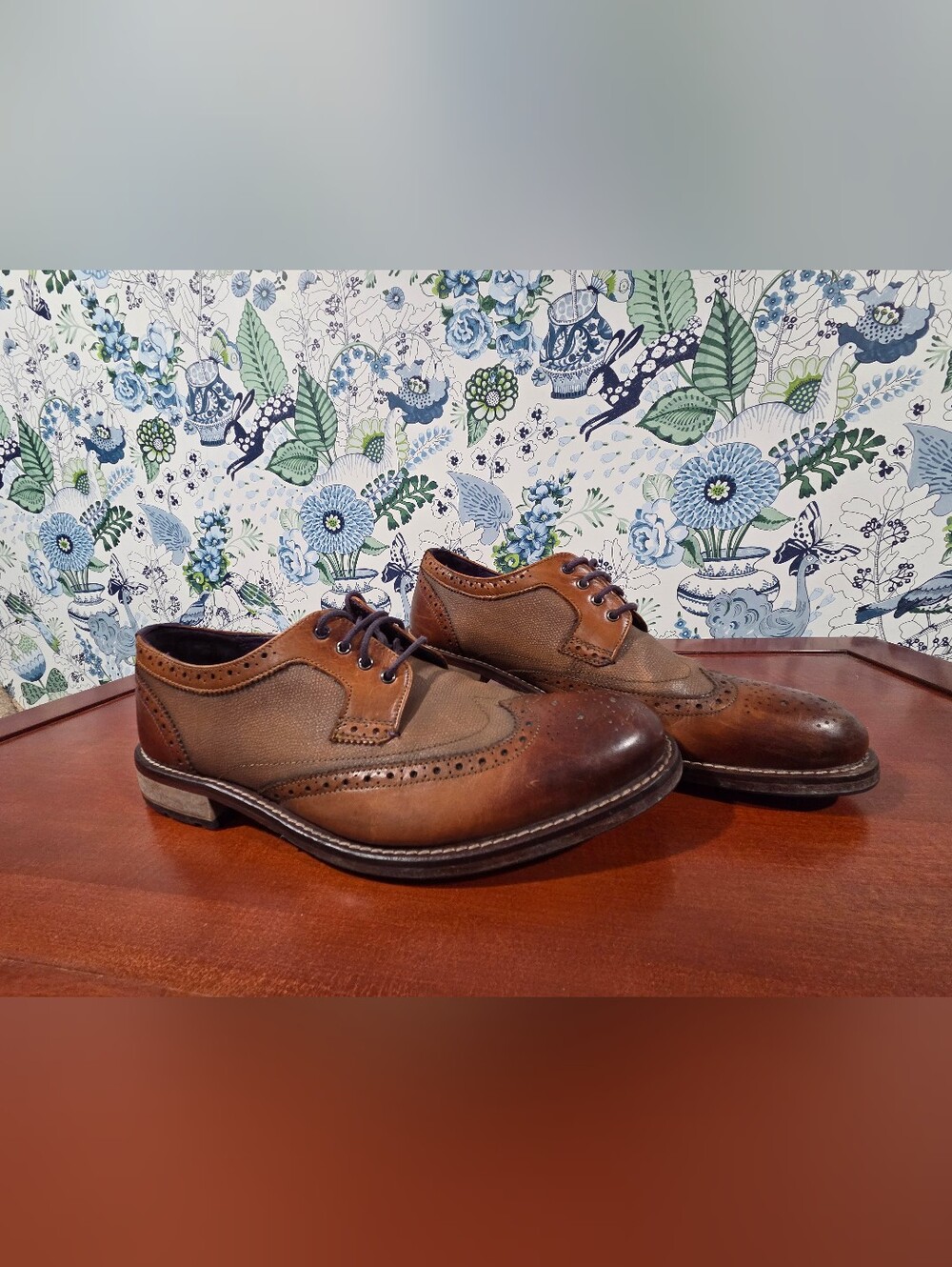 Ted Baker Cassius 4 Wingtip Derby Shoes Men’s US 10 Brown Leather